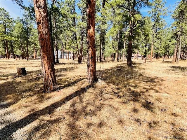 BLK 4 LOT 6 Weston, CO 81091