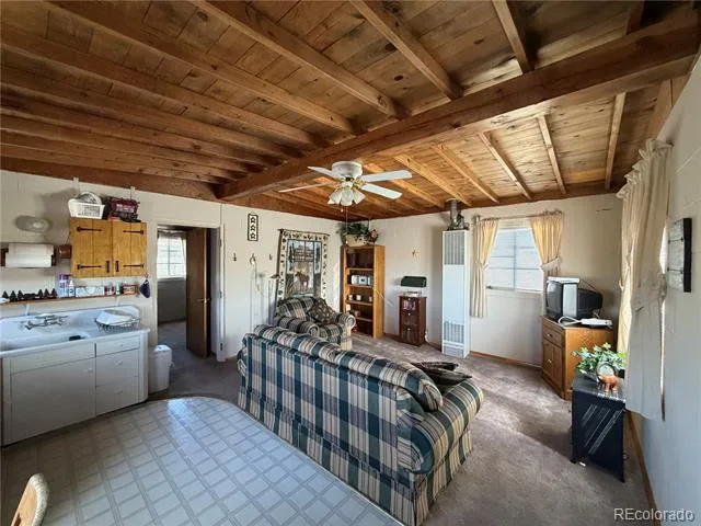 101 Doe Street Hartsel, CO 80449