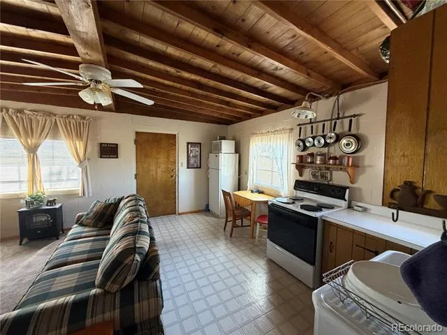 101 Doe Street Hartsel, CO 80449
