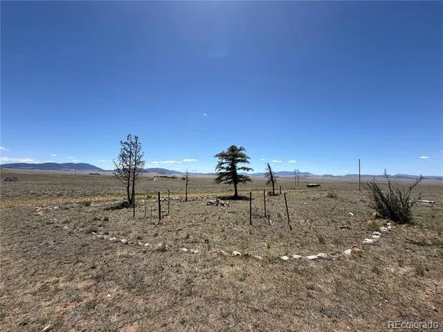 101 Doe Street Hartsel, CO 80449