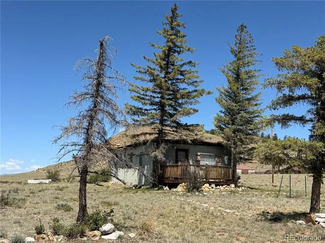 101 Doe Street Hartsel, CO 80449