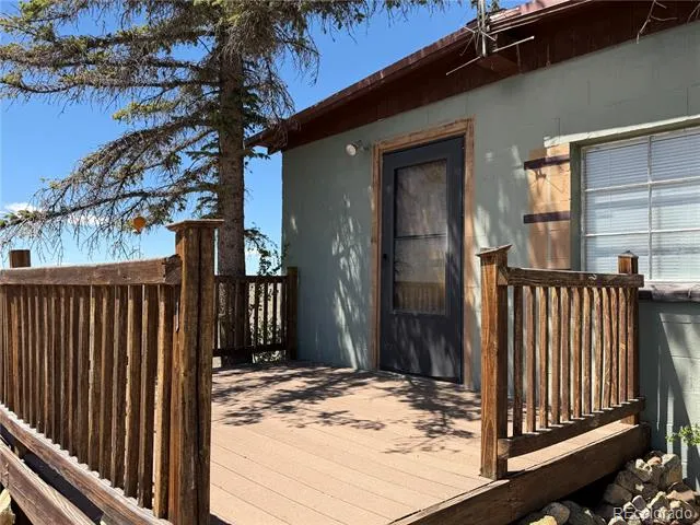 101 Doe Street Hartsel, CO 80449