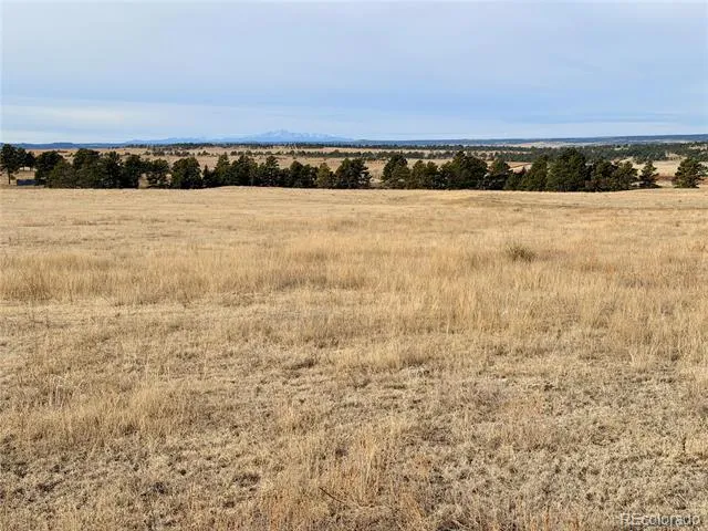 07 County Road 122 Ramah, CO 80832