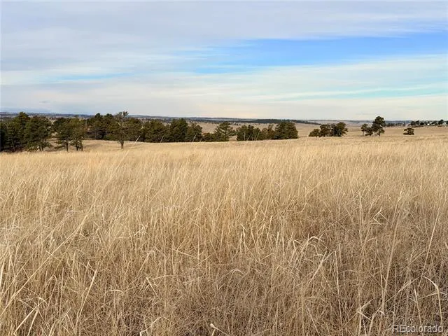 07 County Road 122 Ramah, CO 80832