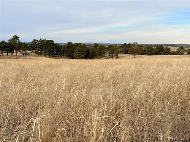 07 County Road 122 Ramah, CO 80832