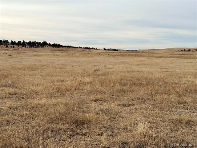 07 County Road 122 Ramah, CO 80832