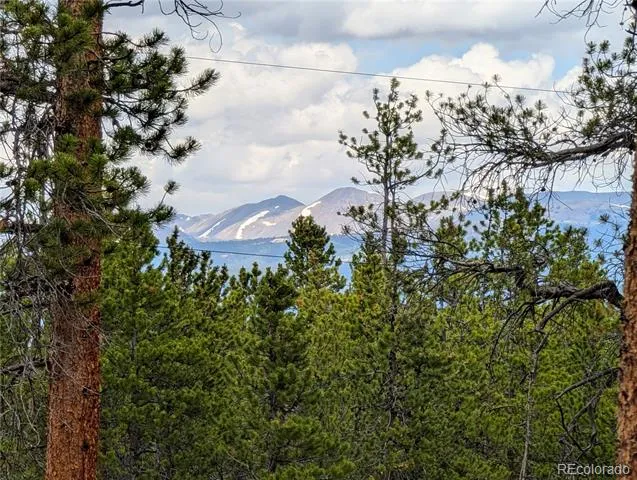 1073 Sequoia Drive Twin Lakes, CO 81251