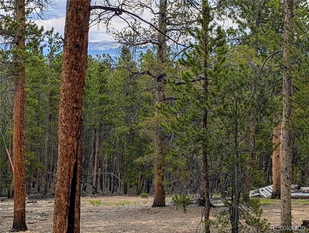 1073 Sequoia Drive Twin Lakes, CO 81251