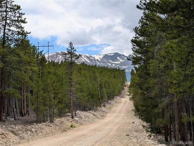 1073 Sequoia Drive Twin Lakes, CO 81251