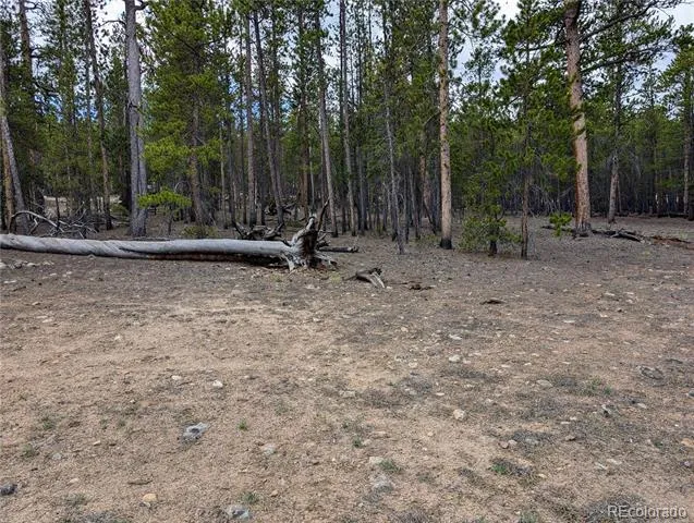 1073 Sequoia Drive Twin Lakes, CO 81251