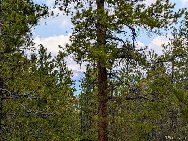 1073 Sequoia Drive Twin Lakes, CO 81251