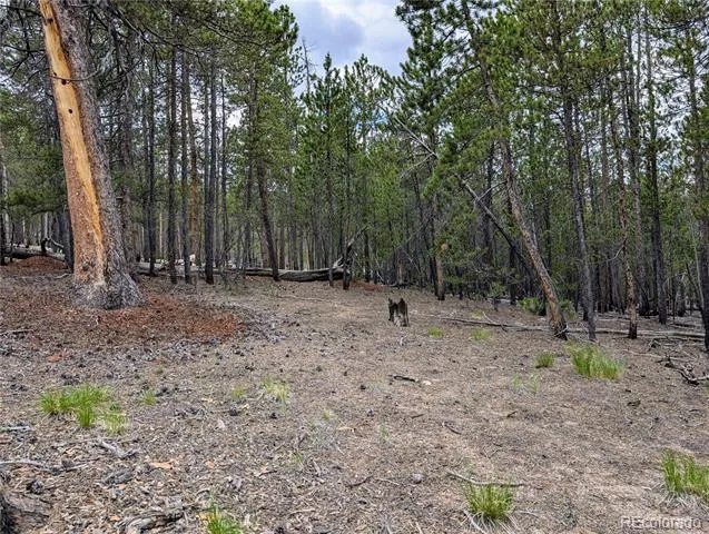 1073 Sequoia Drive Twin Lakes, CO 81251