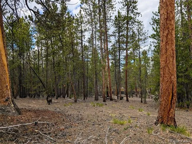 1073 Sequoia Drive Twin Lakes, CO 81251