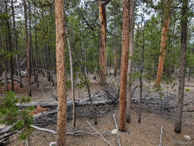 1073 Sequoia Drive Twin Lakes, CO 81251
