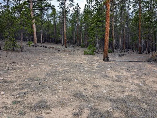 1073 Sequoia Drive Twin Lakes, CO 81251