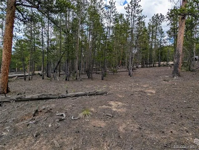 1073 Sequoia Drive Twin Lakes, CO 81251