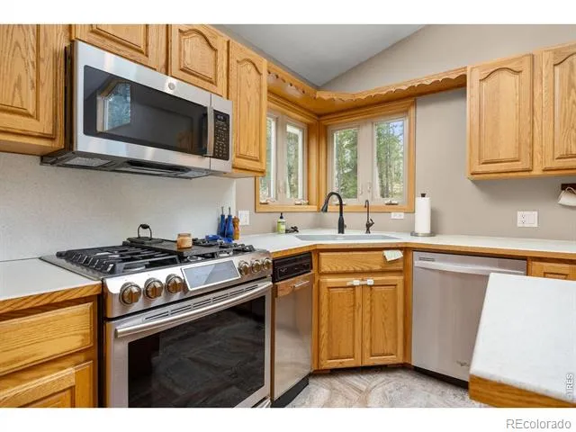 805 Lodge Pole Drive Black Hawk, CO 80422
