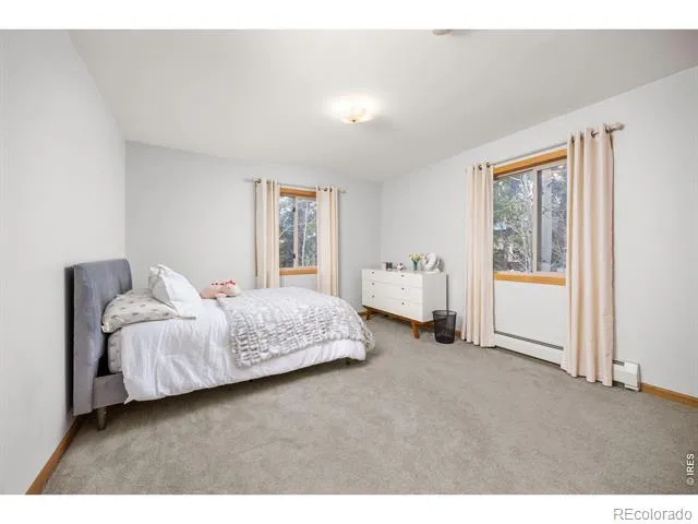 805 Lodge Pole Drive Black Hawk, CO 80422