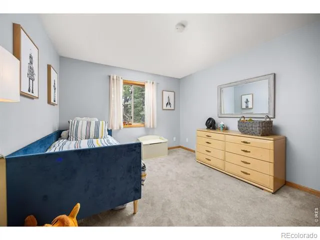 805 Lodge Pole Drive Black Hawk, CO 80422