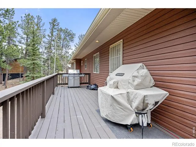 805 Lodge Pole Drive Black Hawk, CO 80422