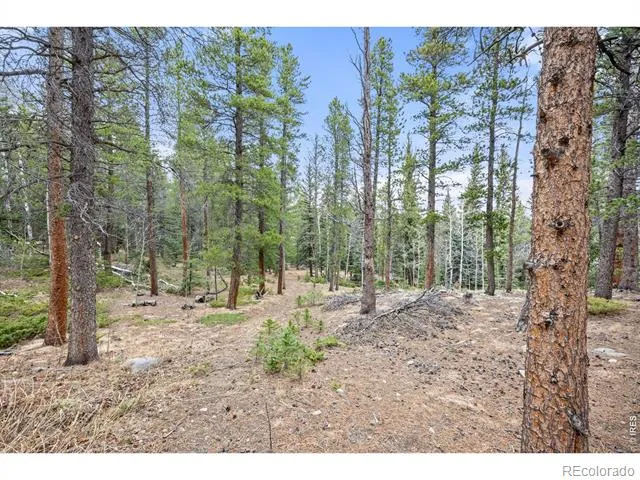 805 Lodge Pole Drive Black Hawk, CO 80422