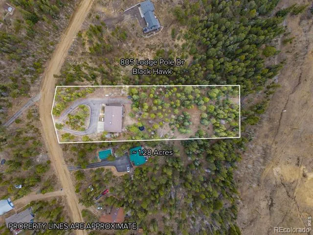 805 Lodge Pole Drive Black Hawk, CO 80422