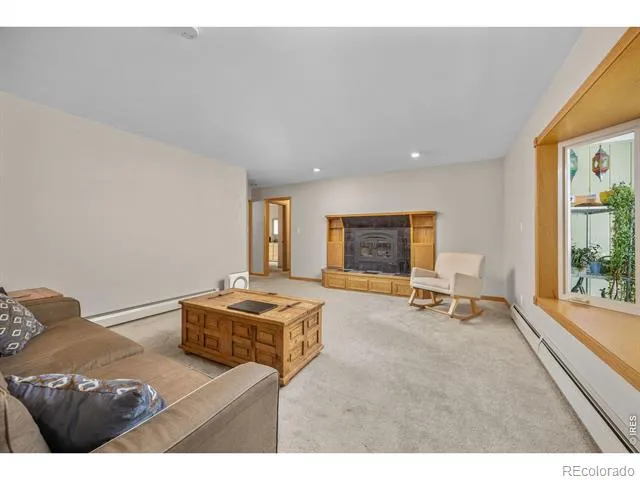 805 Lodge Pole Drive Black Hawk, CO 80422
