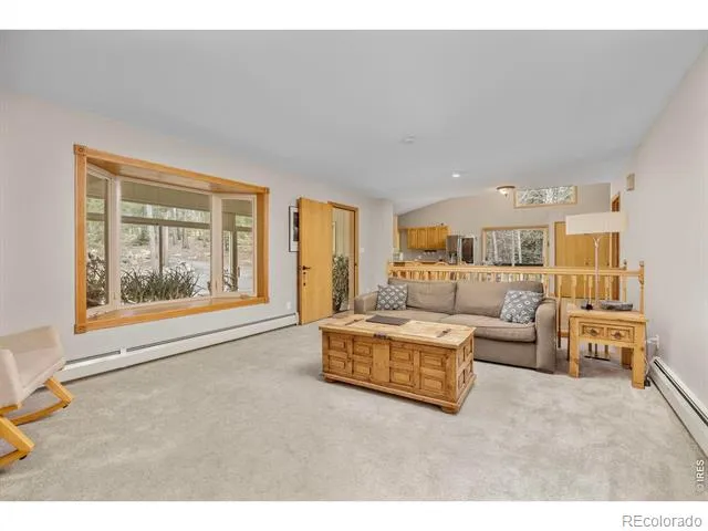 805 Lodge Pole Drive Black Hawk, CO 80422