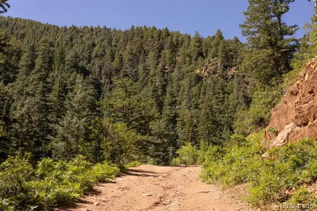Balanced Rock Road Palmer Lake, CO 80133