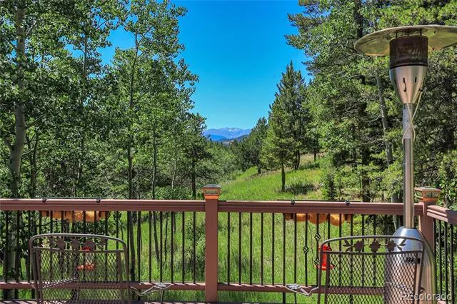 1201 Hughesville Road Black Hawk, CO 80422
