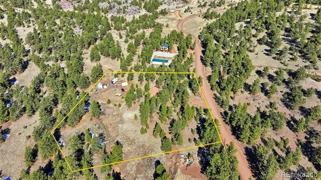 133 Wagon Wheel Circle Guffey, CO 80820
