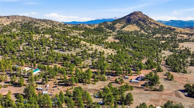 133 Wagon Wheel Circle Guffey, CO 80820