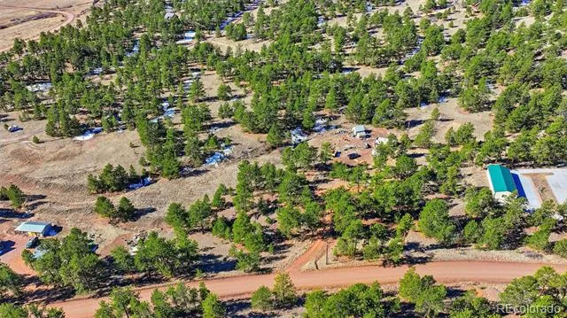 133 Wagon Wheel Circle Guffey, CO 80820
