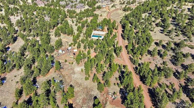 133 Wagon Wheel Circle Guffey, CO 80820