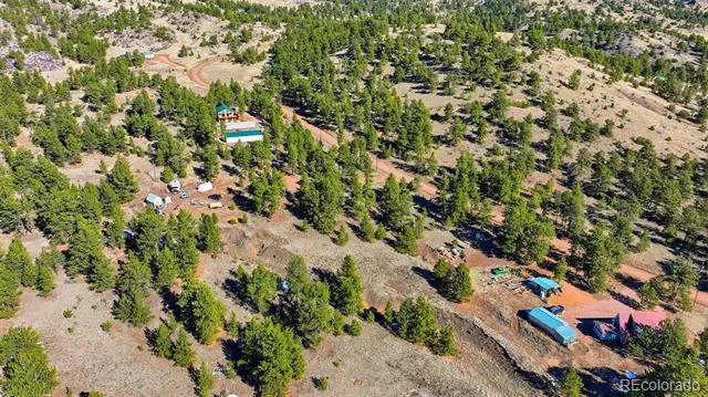133 Wagon Wheel Circle Guffey, CO 80820