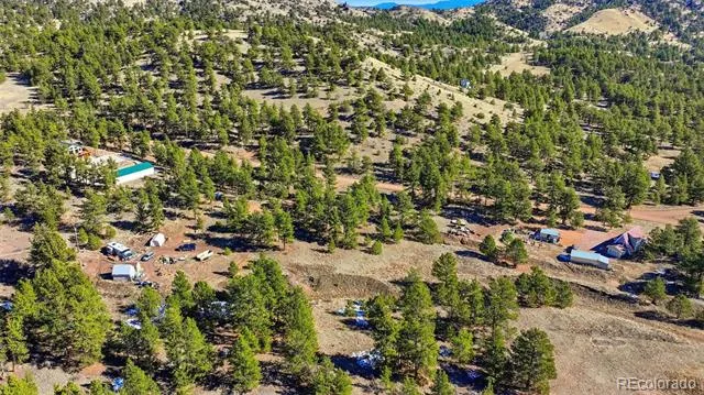 133 Wagon Wheel Circle Guffey, CO 80820