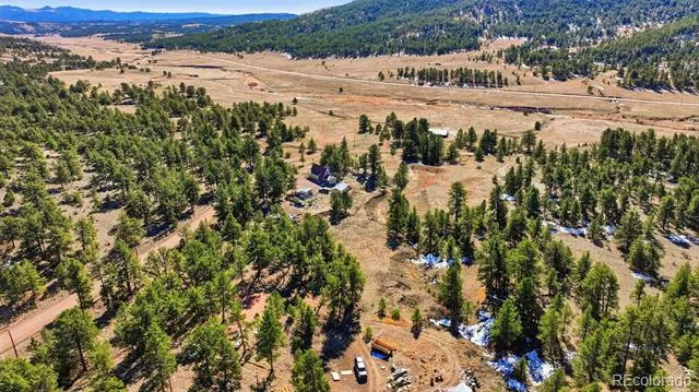 133 Wagon Wheel Circle Guffey, CO 80820