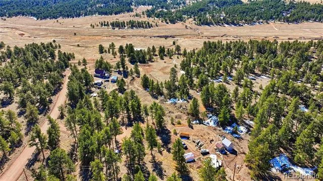 133 Wagon Wheel Circle Guffey, CO 80820