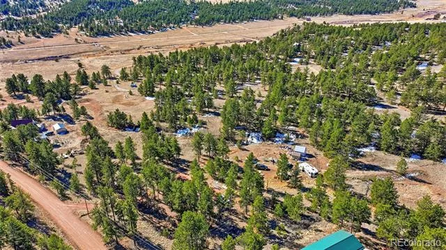 133 Wagon Wheel Circle Guffey, CO 80820