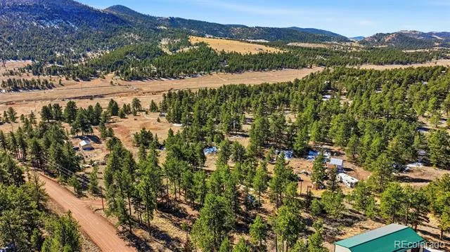 133 Wagon Wheel Circle Guffey, CO 80820