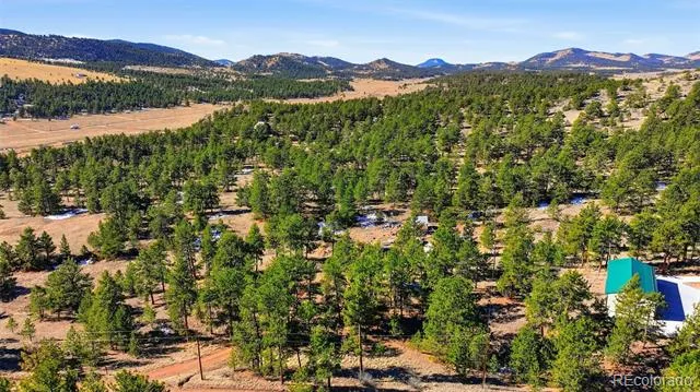 133 Wagon Wheel Circle Guffey, CO 80820