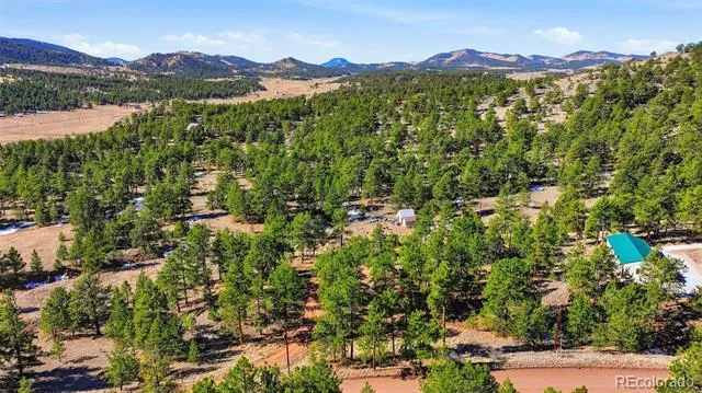 133 Wagon Wheel Circle Guffey, CO 80820