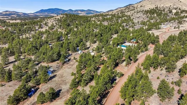 133 Wagon Wheel Circle Guffey, CO 80820