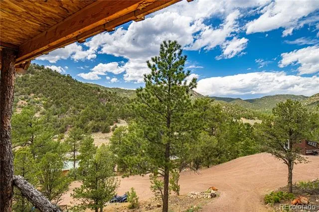 Address Not Shown Cotopaxi, CO 81223