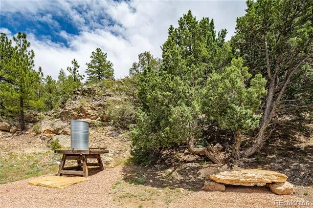 Address Not Shown Cotopaxi, CO 81223