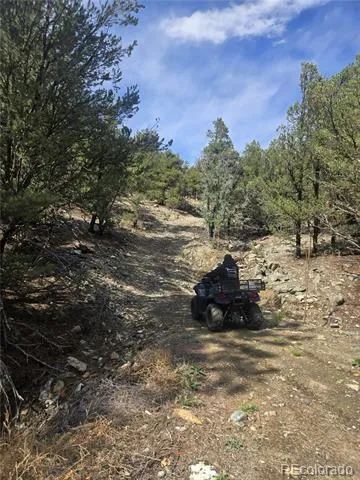 Address Not Shown Cotopaxi, CO 81223