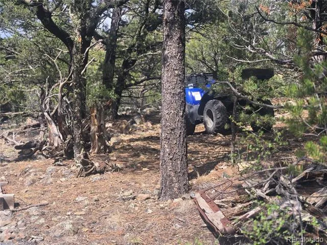 Address Not Shown Cotopaxi, CO 81223