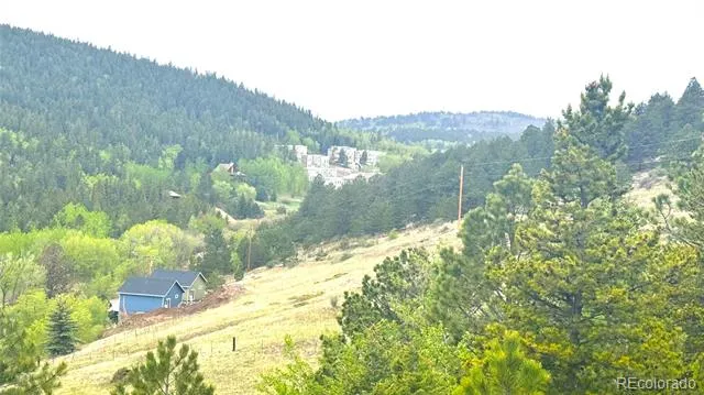 0003 Eureka St Central City, CO 80427