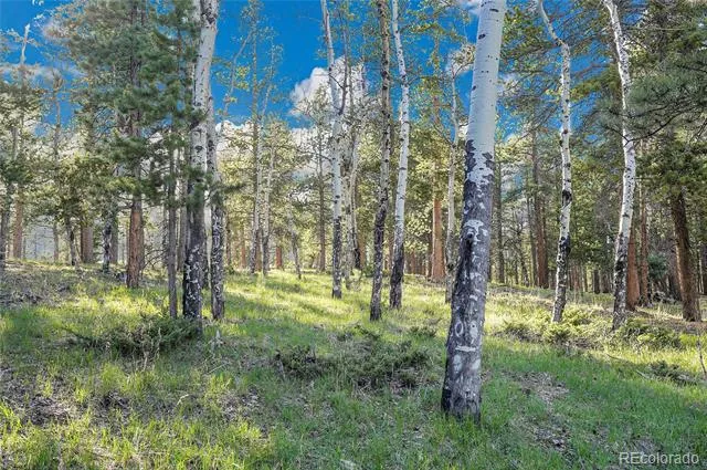 Molly Dr, Lot #3 Conifer, CO 80433
