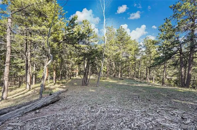 Molly Dr, Lot #3 Conifer, CO 80433